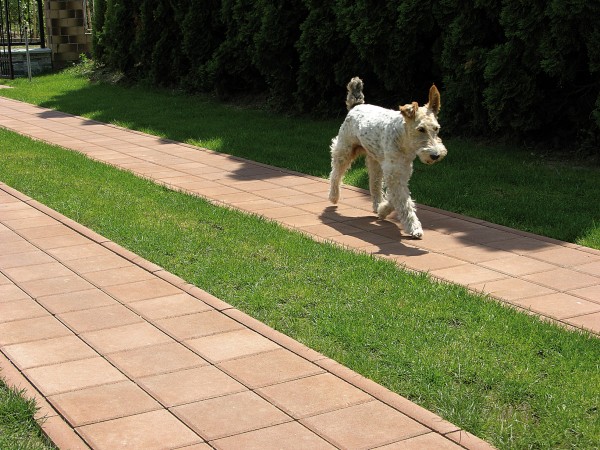 ViaBlock - zámková dlažba Terrabella